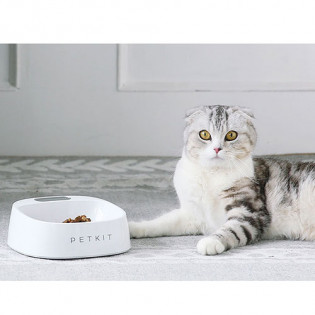 Petkit P510 Fresh Pet Bowl White